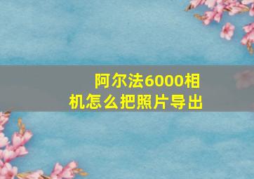 阿尔法6000相机怎么把照片导出