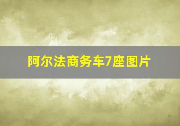 阿尔法商务车7座图片