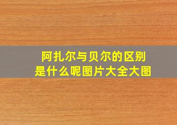 阿扎尔与贝尔的区别是什么呢图片大全大图