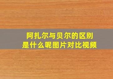 阿扎尔与贝尔的区别是什么呢图片对比视频