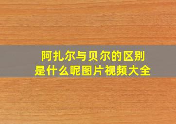 阿扎尔与贝尔的区别是什么呢图片视频大全