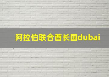 阿拉伯联合酋长国dubai