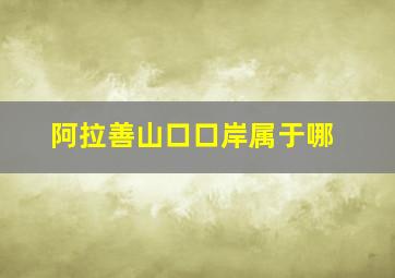 阿拉善山口口岸属于哪