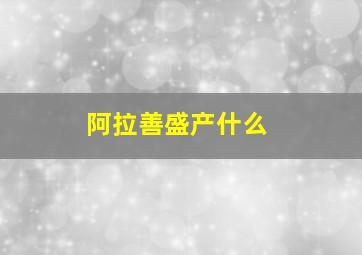 阿拉善盛产什么