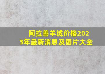 阿拉善羊绒价格2023年最新消息及图片大全