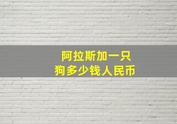 阿拉斯加一只狗多少钱人民币