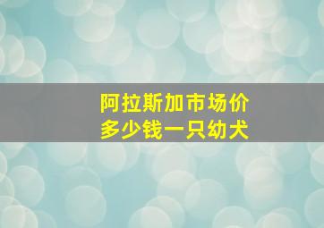 阿拉斯加市场价多少钱一只幼犬