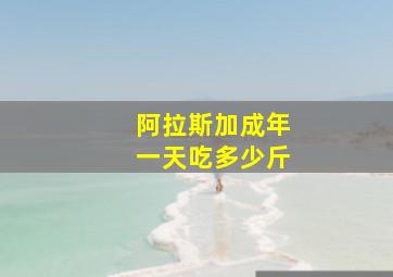 阿拉斯加成年一天吃多少斤