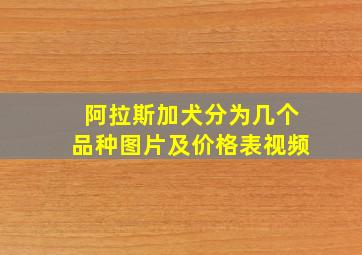 阿拉斯加犬分为几个品种图片及价格表视频