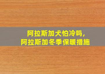 阿拉斯加犬怕冷吗,阿拉斯加冬季保暖措施