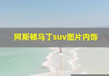 阿斯顿马丁suv图片内饰