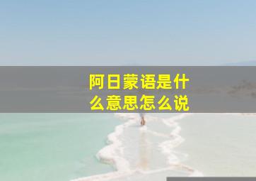 阿日蒙语是什么意思怎么说