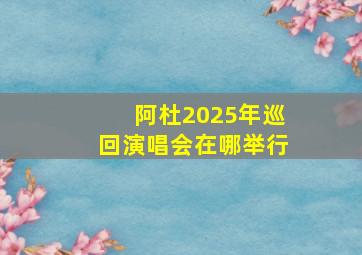 阿杜2025年巡回演唱会在哪举行