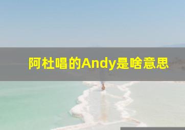 阿杜唱的Andy是啥意思