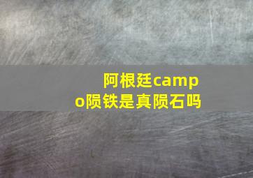 阿根廷campo陨铁是真陨石吗