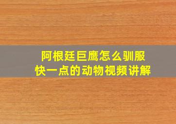 阿根廷巨鹰怎么驯服快一点的动物视频讲解