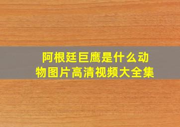 阿根廷巨鹰是什么动物图片高清视频大全集