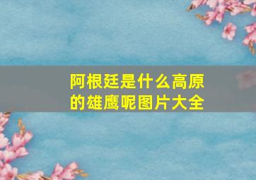 阿根廷是什么高原的雄鹰呢图片大全