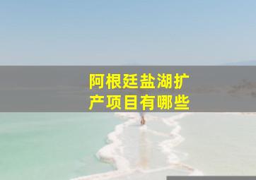 阿根廷盐湖扩产项目有哪些