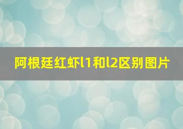 阿根廷红虾l1和l2区别图片