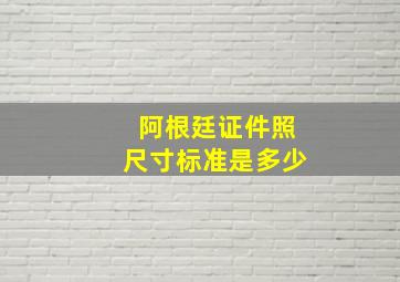 阿根廷证件照尺寸标准是多少