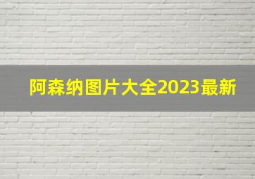 阿森纳图片大全2023最新