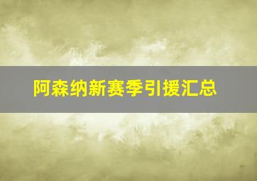 阿森纳新赛季引援汇总