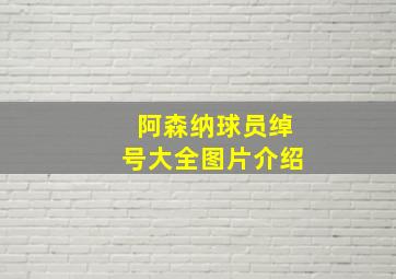 阿森纳球员绰号大全图片介绍