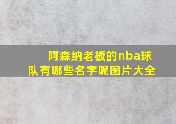 阿森纳老板的nba球队有哪些名字呢图片大全