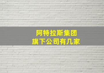 阿特拉斯集团旗下公司有几家