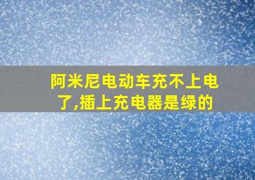 阿米尼电动车充不上电了,插上充电器是绿的