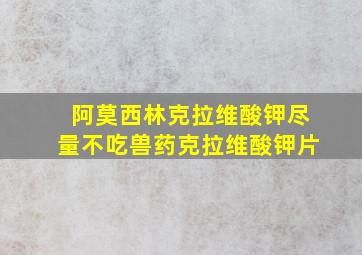 阿莫西林克拉维酸钾尽量不吃兽药克拉维酸钾片