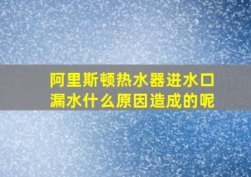 阿里斯顿热水器进水口漏水什么原因造成的呢