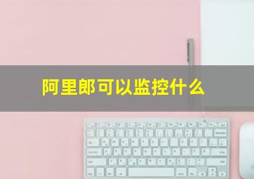 阿里郎可以监控什么