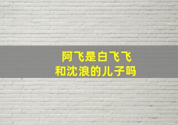 阿飞是白飞飞和沈浪的儿子吗