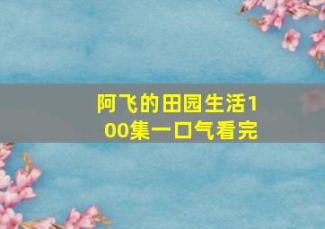 阿飞的田园生活100集一口气看完