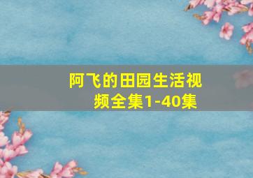 阿飞的田园生活视频全集1-40集