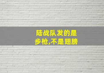 陆战队发的是步枪,不是翅膀