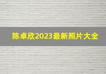 陈卓欣2023最新照片大全