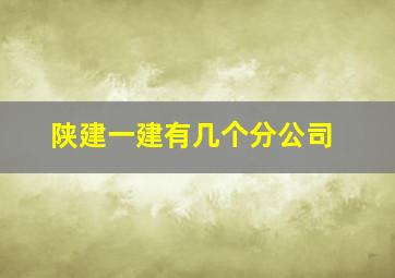 陕建一建有几个分公司