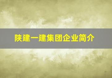 陕建一建集团企业简介