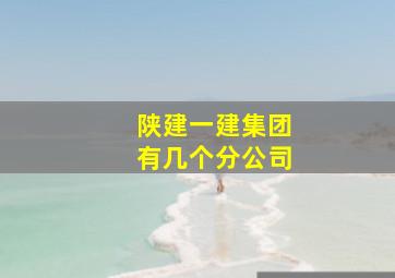 陕建一建集团有几个分公司