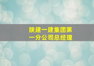 陕建一建集团第一分公司总经理