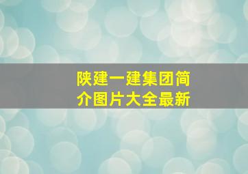 陕建一建集团简介图片大全最新