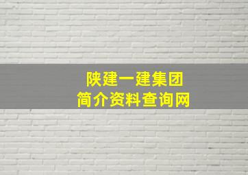 陕建一建集团简介资料查询网