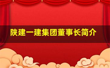 陕建一建集团董事长简介