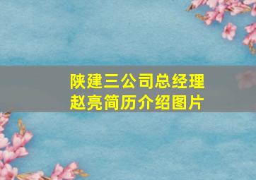 陕建三公司总经理赵亮简历介绍图片