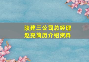 陕建三公司总经理赵亮简历介绍资料