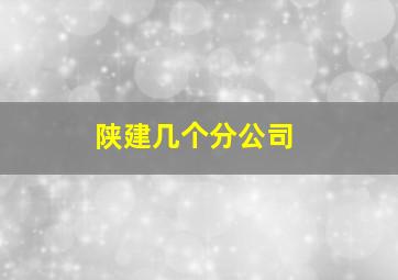 陕建几个分公司