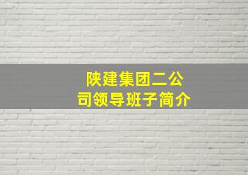 陕建集团二公司领导班子简介